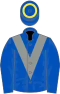 Royal blue with grey chevron, royal blue sleeves, royal blue cap, yellow hoop