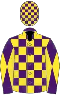 Purple and yellow check, diabolo on sleeves, checked cap