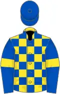 Yellow and royal blue check, royal blue sleeves, yellow armlets, royal blue cap