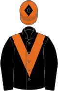 Black, orange chevron, orange cap, black diamond