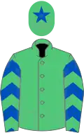 verte, manches chevronnées vert et bleu roy, toque verte une étoile bleu roy