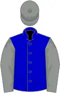 Blue, grey sleeves and cap