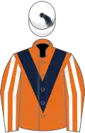 Orange, dark blue chevron, orange and white striped sleeves,white cap, dark blue tassel