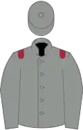 Grise épaulettes grenat
