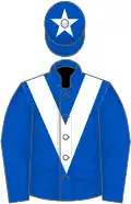 Royal blue, white chevron, royal blue cap, white star