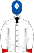 White, red halved sleeves, royal blue cap, white diamond