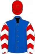Blue, white sleeves, red chevrons, red cap