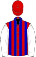 Red and blue stripes, white sleeves, red cap