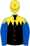 Yellow and black jagged vertical halved, blue sleeves, yellow cap