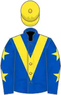 Dark blue, yellow chevron, dark blue sleeves, yellow stars, yellow cap