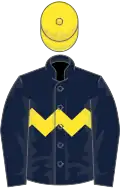 Dark blue, yellow chevron hoop, yellow cap