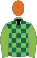 Light green and dark green check, light green sleeves, orange cap
