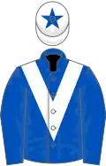 Bleue roy une chevron blanc, toque blanche une étoile bleue
