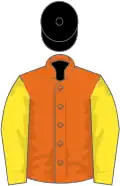 Orange, yellow sleeves, black cap