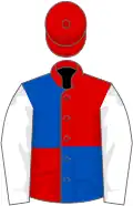 Royal blue and red (quartered), white sleeves, red cap
