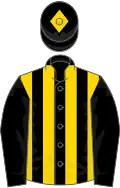 Black and gold stripes, black sleeves, black cap, gold diamond