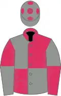 Grey and red quartered, halved sleeves, grey cap, red spots