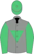 Grise un triangle, manches et toque verts