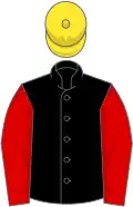Black, red sleeves, yellow cap