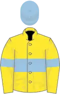Yellow, light blue hoop, armlets and cap