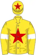 Jaune une étoile rouge, manches jaunes brassards blancs, toque jaune une étoile rouge