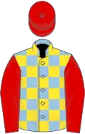 Light blue and yellow check, red sleeves and cap