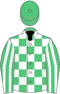 Emerald green and white check, striped sleeves, emerald green cap