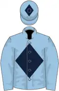 Light blue, dark blue diamond and diamond on cap
