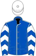 Royal blue, white seams, chevrons on sleeves, white cap