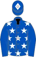 Royal blue, white stars, royal blue sleeves, quartered cap