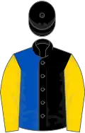 Black and royal blue (halved), gold sleeves, black cap