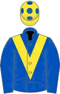 Royal blue, yellow chevron, yellow cap, royal blue spots