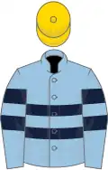 Light blue, two dark blue hoops, gold cap