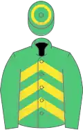 Chevronée vert et jaune, manches vertes, toque verte une ceinture jaune