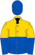 Gold and royal blue halved (horizontally), royal blue cap
