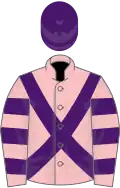 Rose, Croix de Saint-André et toque violettes, manches cerclées rose et violet