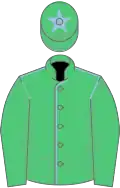 Vert épaulettes bleu clair, toque verte une étoile bleu clair