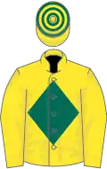 Yellow, dark green diamond, hooped cap