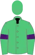 Verte brassards violets