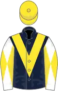 Dark blue, yellow chevron, white and yellow diabolo on sleeves, yellow cap