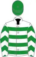 Cerclée vert et blanc, manches cevronnées du même, toque verte