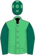 green, dark green sleeves, dark green cap