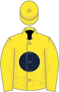 Yellow, Dark Blue disc