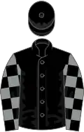 Black, Black and Grey check sleeves