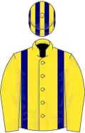 Jaune bretelles gros-bleu, toque rayée du même