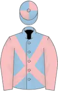 Bleu clair, Croix de Saint André et manches roses, toque écartelée bleue-clair et rose
