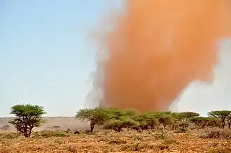 Tourbillon de sable, Somalie, 2012
