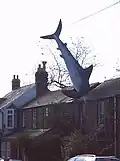 Requin d'Oxford