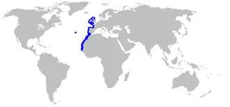 Description de l'image Oxynotus_paradoxus_distmap.png.