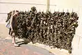 La grille de Pécs en Hongrie en 2008.